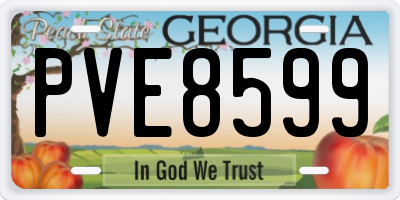 GA license plate PVE8599
