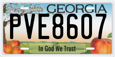 GA license plate PVE8607
