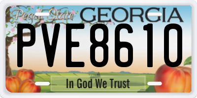 GA license plate PVE8610