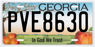 GA license plate PVE8630