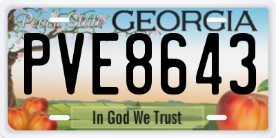 GA license plate PVE8643