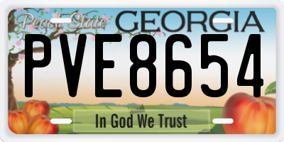 GA license plate PVE8654