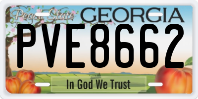 GA license plate PVE8662