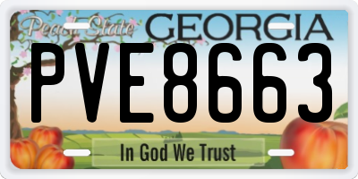 GA license plate PVE8663