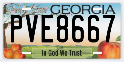 GA license plate PVE8667