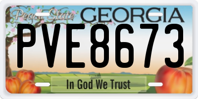 GA license plate PVE8673