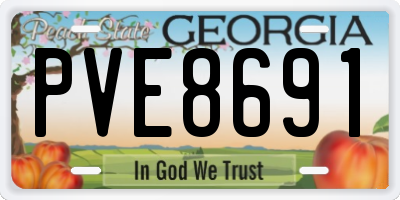 GA license plate PVE8691