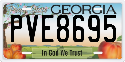 GA license plate PVE8695