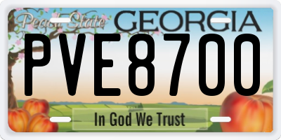 GA license plate PVE8700