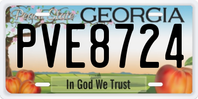 GA license plate PVE8724