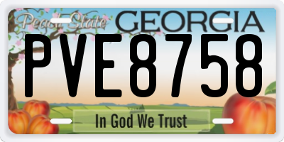 GA license plate PVE8758