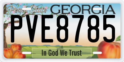 GA license plate PVE8785
