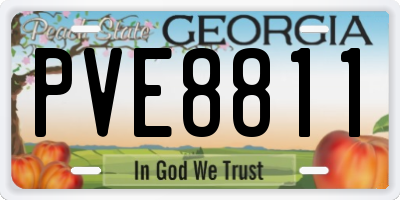 GA license plate PVE8811