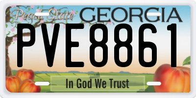 GA license plate PVE8861
