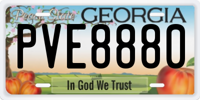 GA license plate PVE8880