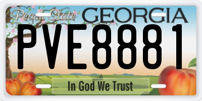GA license plate PVE8881