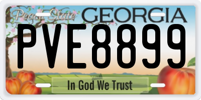 GA license plate PVE8899