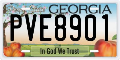 GA license plate PVE8901