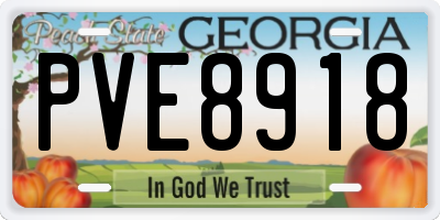 GA license plate PVE8918