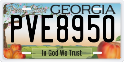 GA license plate PVE8950