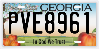 GA license plate PVE8961