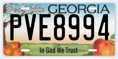GA license plate PVE8994