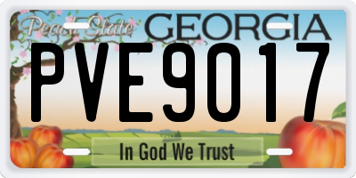 GA license plate PVE9017