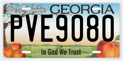 GA license plate PVE9080