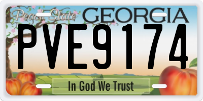 GA license plate PVE9174