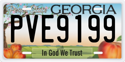 GA license plate PVE9199