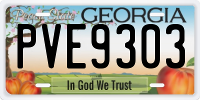 GA license plate PVE9303