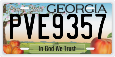 GA license plate PVE9357