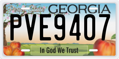 GA license plate PVE9407