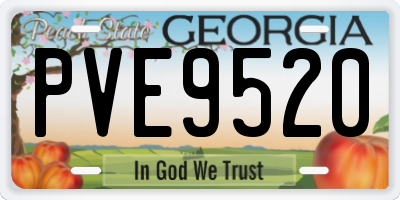 GA license plate PVE9520