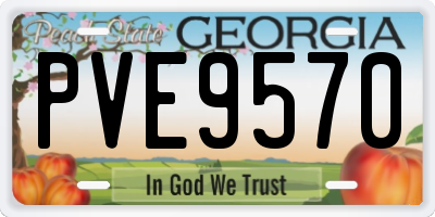 GA license plate PVE9570