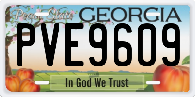 GA license plate PVE9609