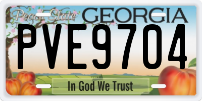 GA license plate PVE9704