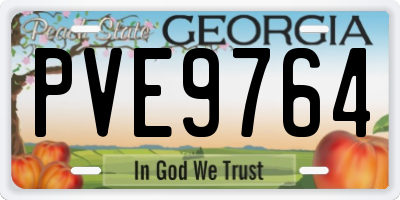 GA license plate PVE9764