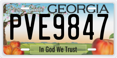 GA license plate PVE9847