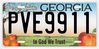 GA license plate PVE9911