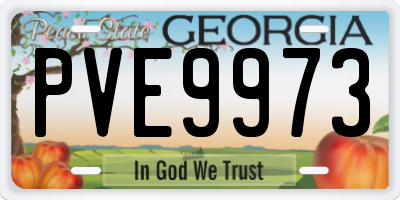GA license plate PVE9973
