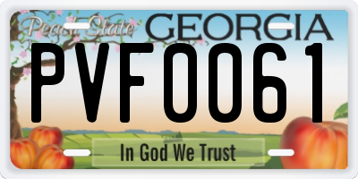 GA license plate PVF0061