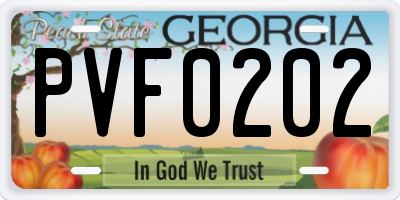 GA license plate PVF0202