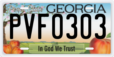 GA license plate PVF0303