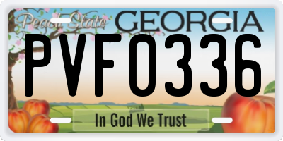 GA license plate PVF0336