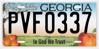 GA license plate PVF0337