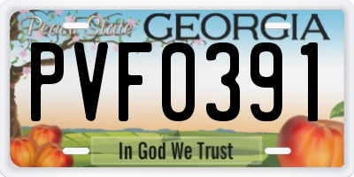 GA license plate PVF0391