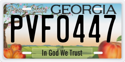 GA license plate PVF0447