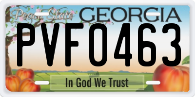 GA license plate PVF0463
