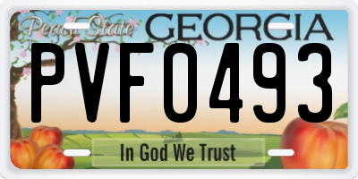 GA license plate PVF0493